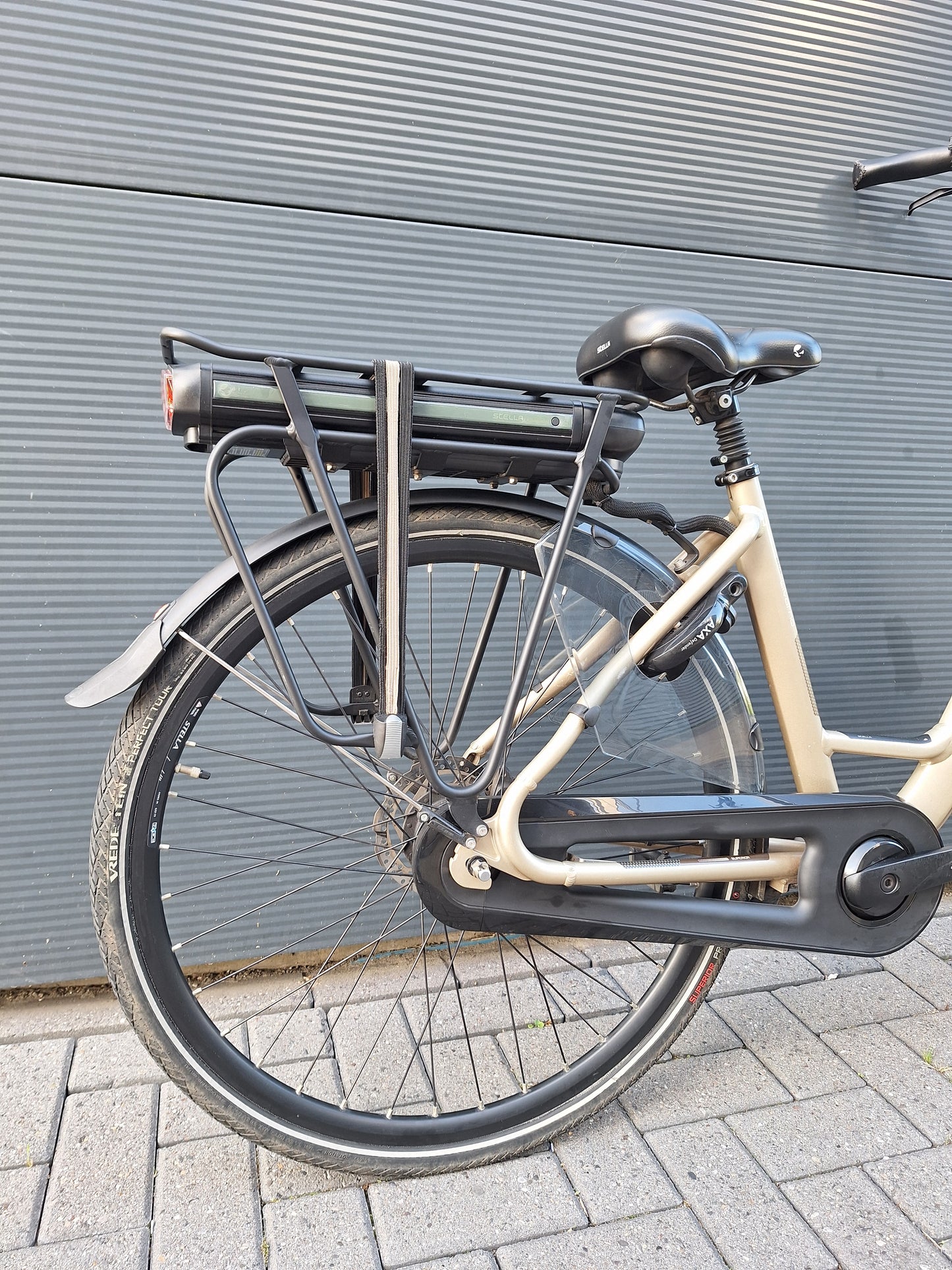 Stella Livorno Superior FDST