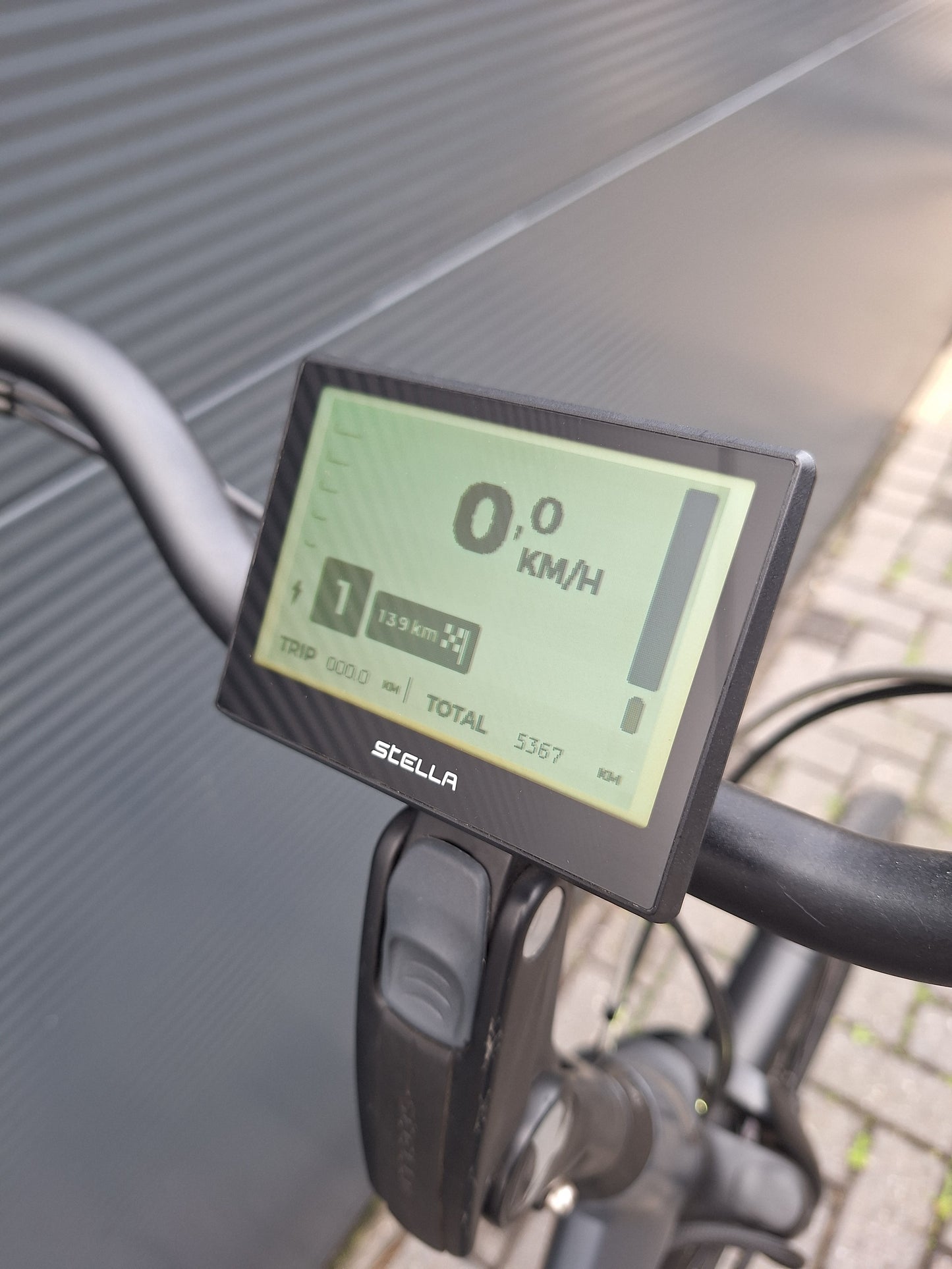 Stella Livorno Frost Blue FDST (53)