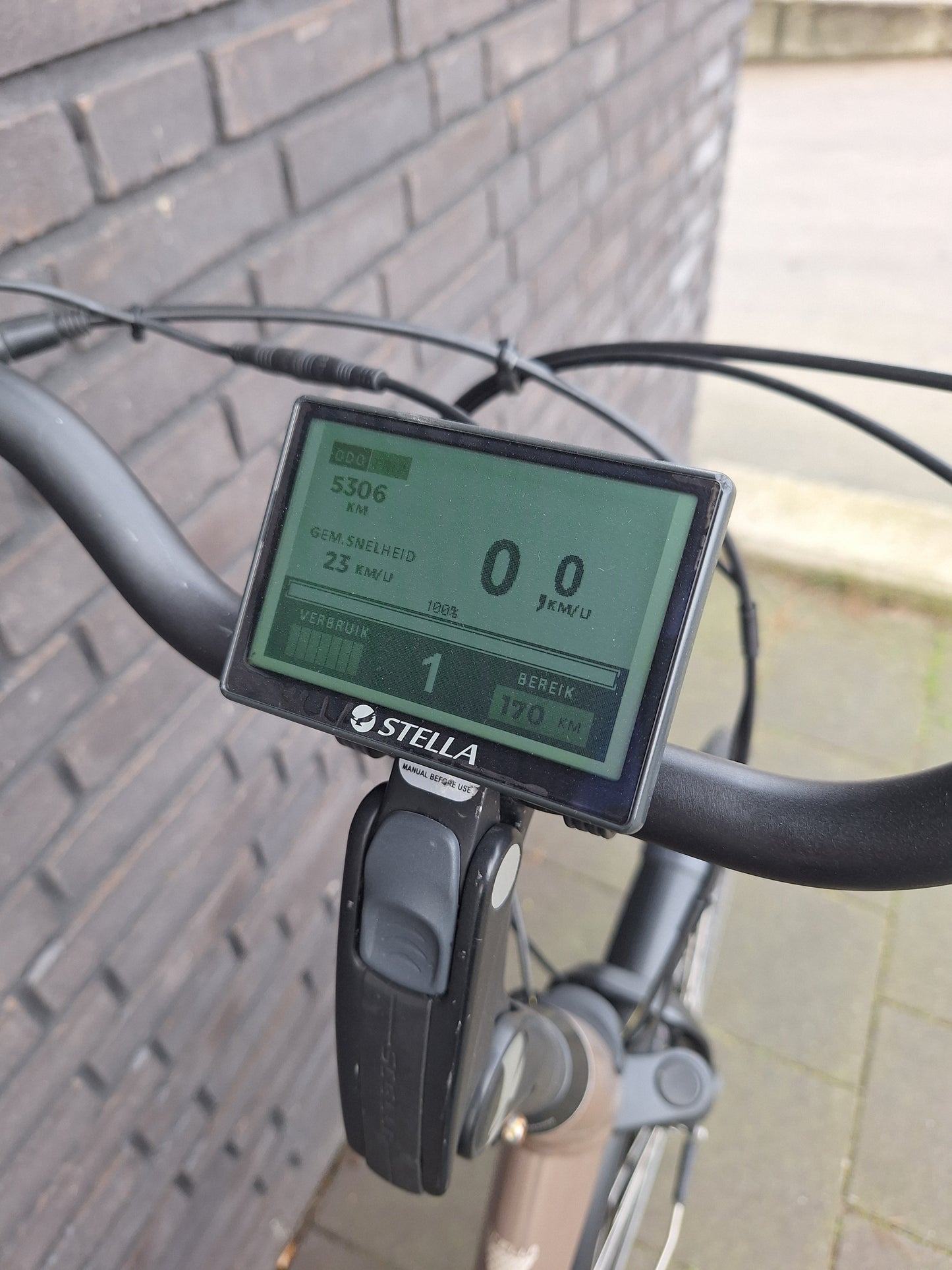 Stella Livorno Gold FDST (57)