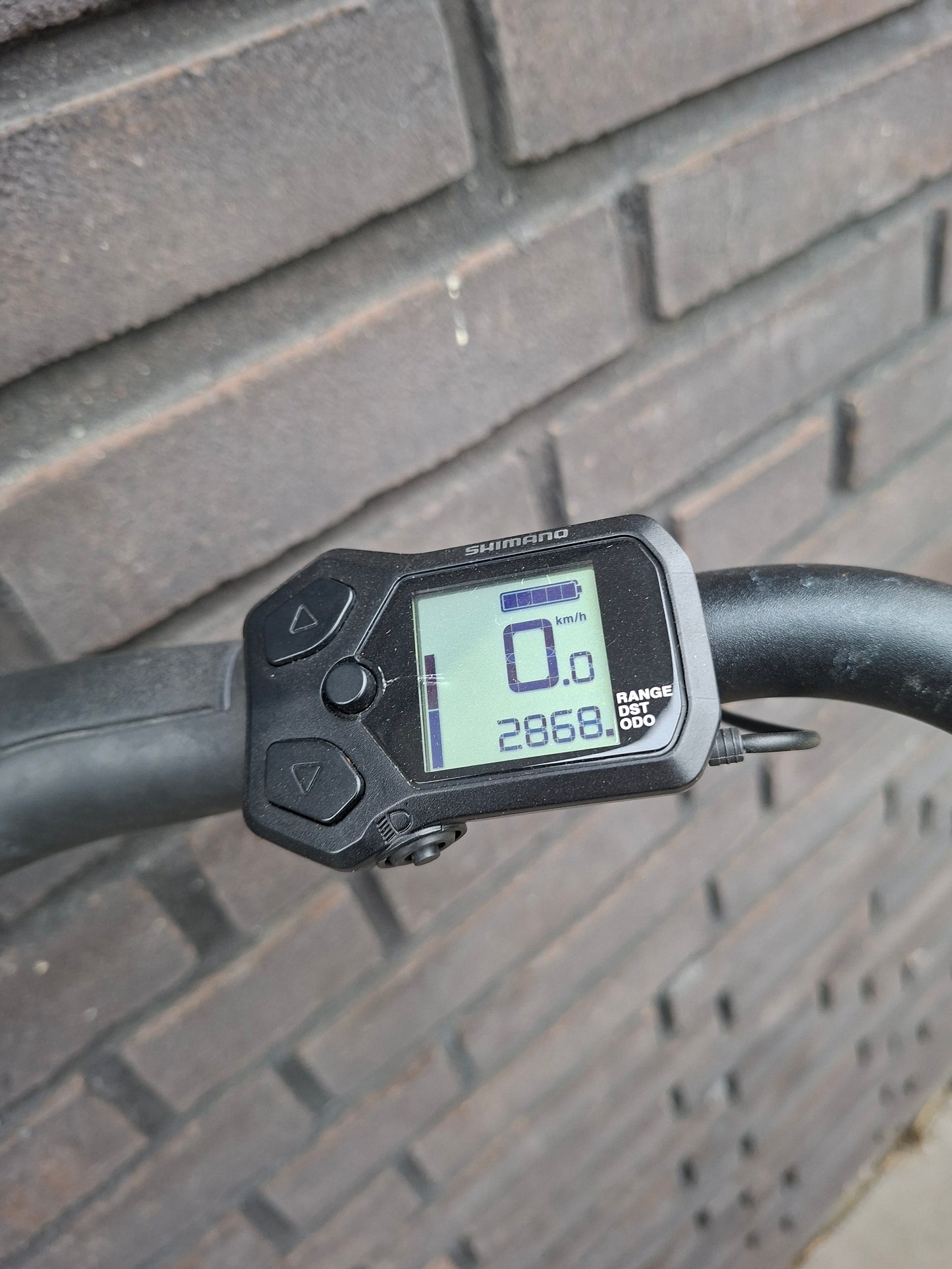 Stella Livorno Easy MDS (46)