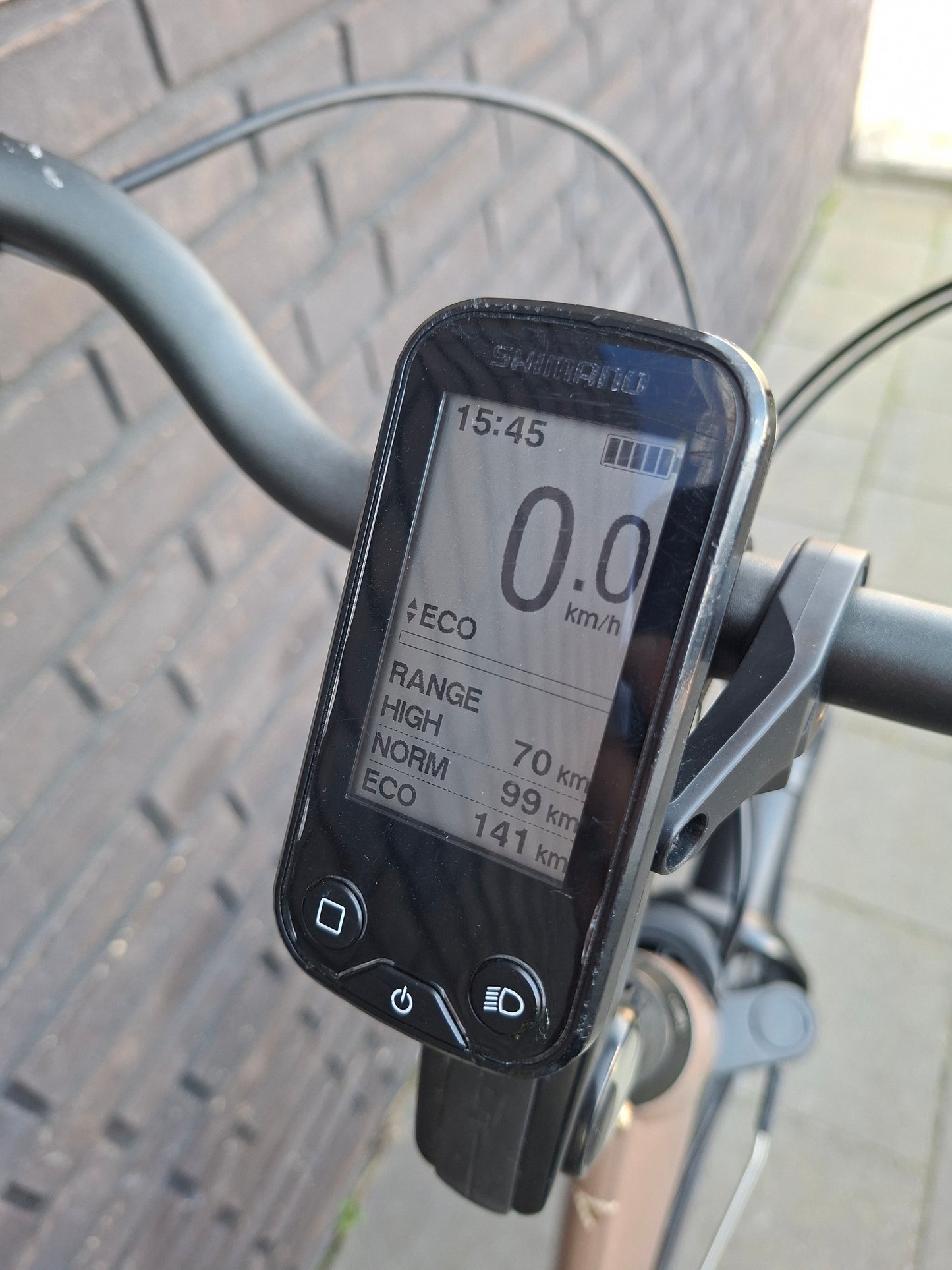 Stella Livorno Gold MDS (53)