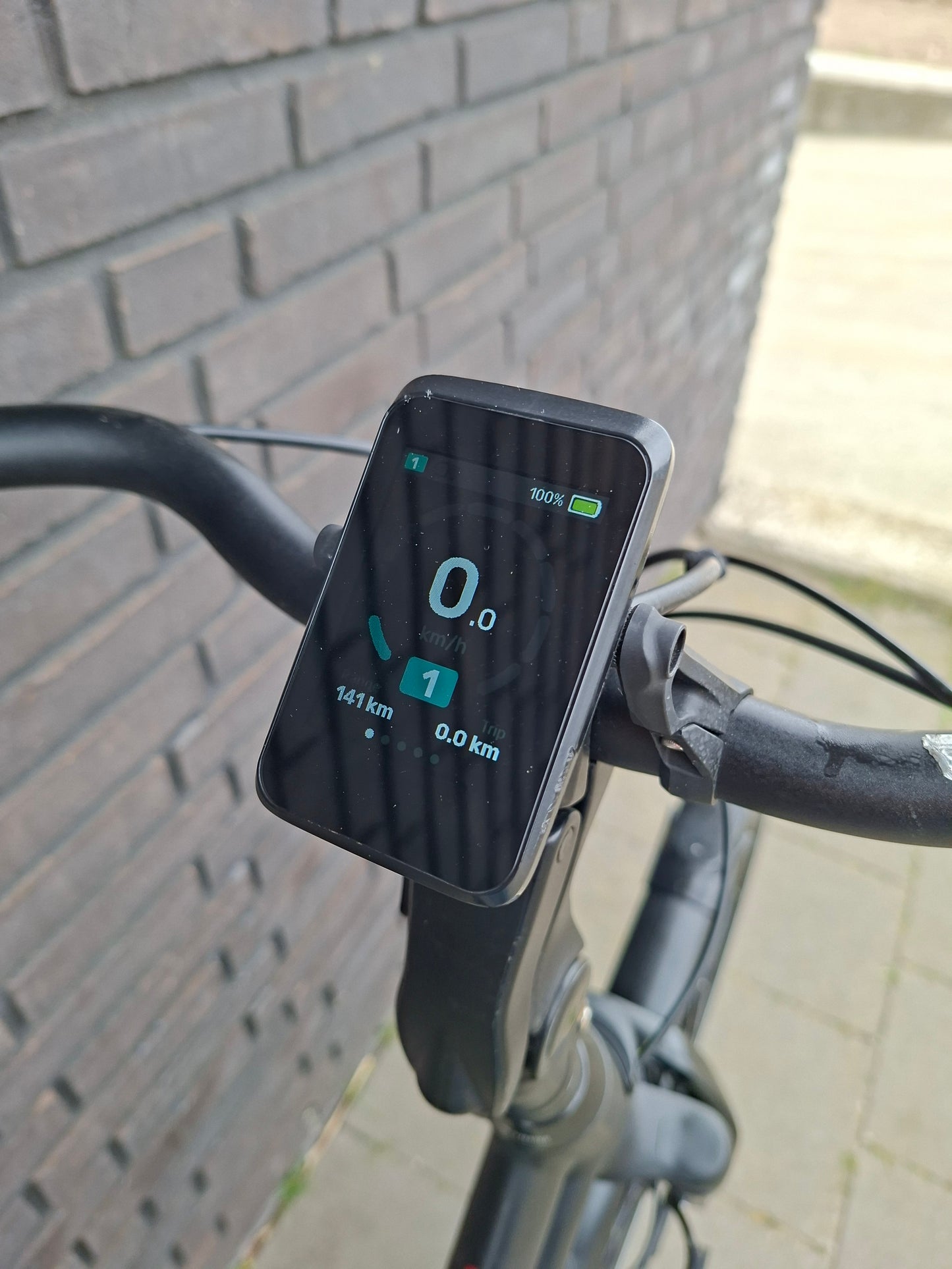 Stella Vicenza Superior FDST (53)