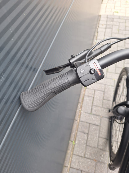 Stella Vicenza Superior FDST