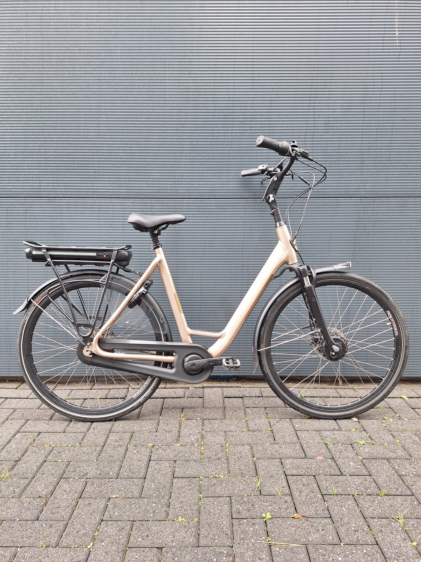 Stella Livorno Gold FDST