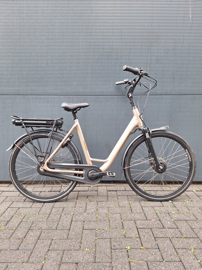 Stella Livorno Gold FDST