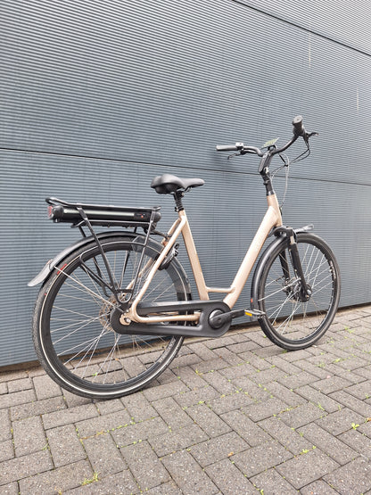 Stella Livorno Gold FDST