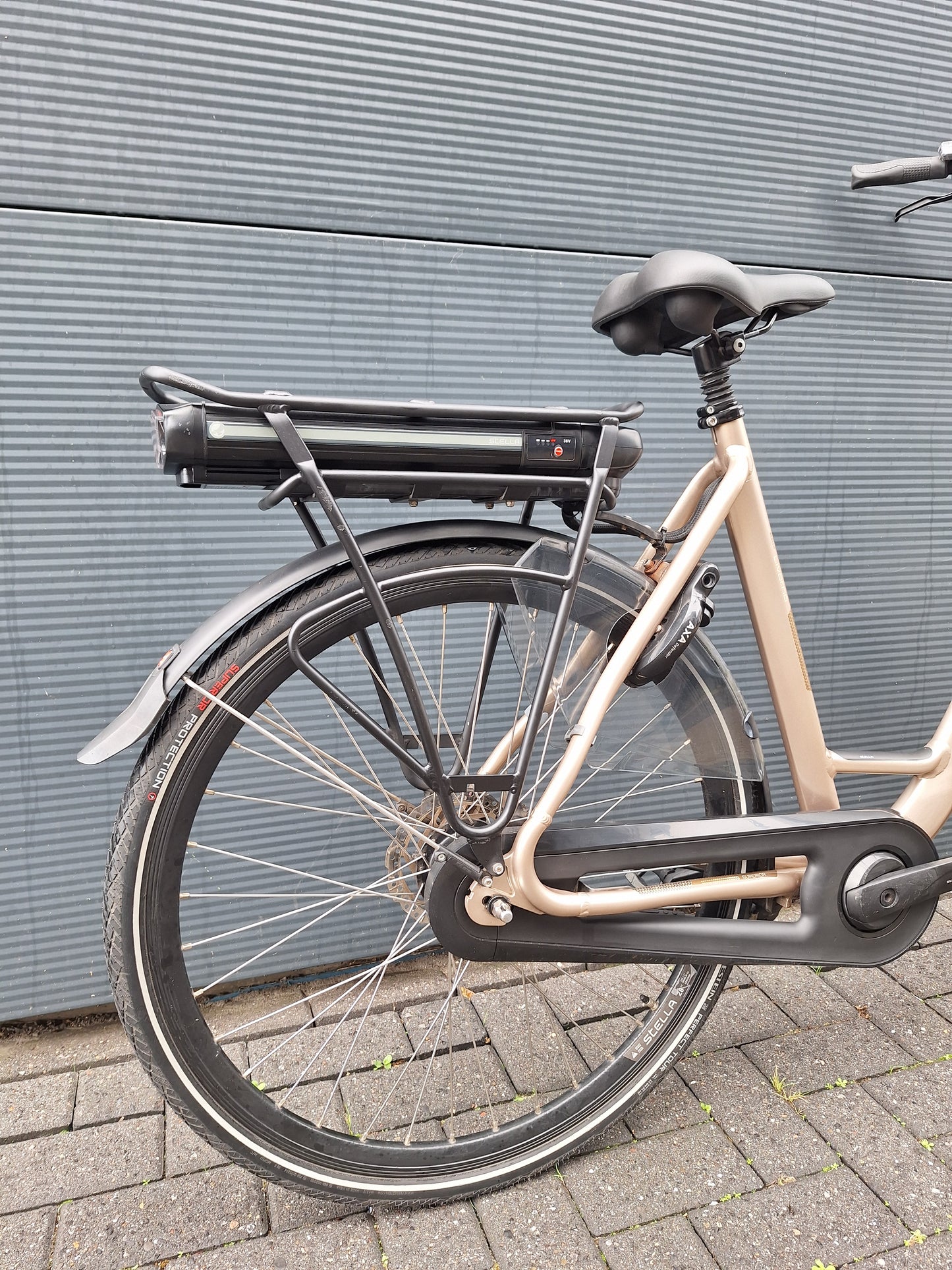 Stella Livorno Gold FDST