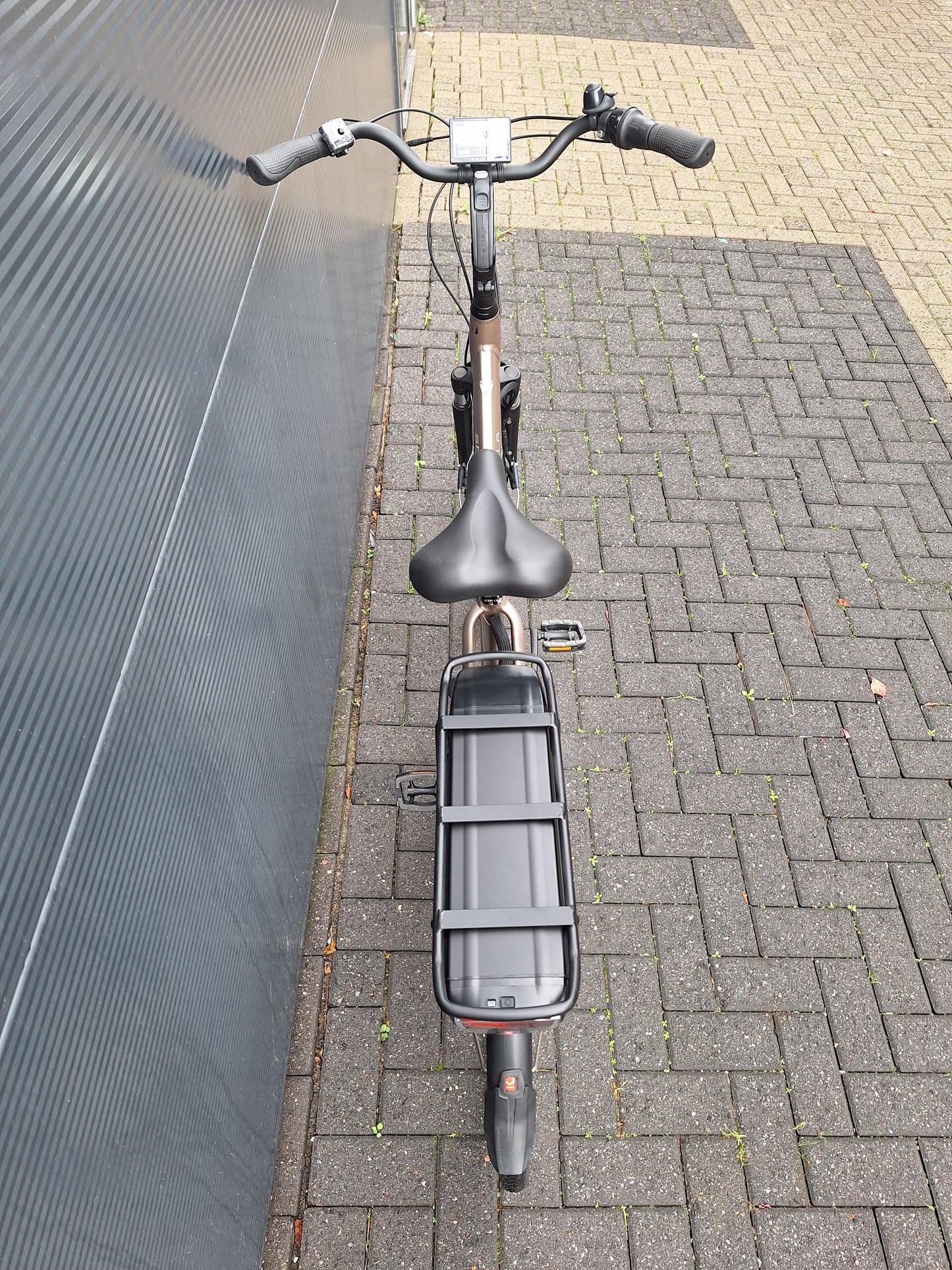 Stella Livorno Gold FDST