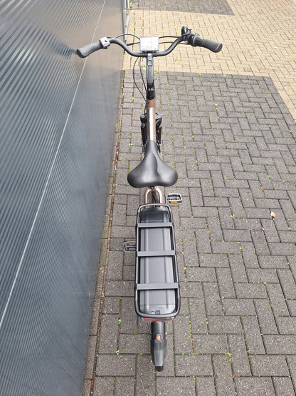 Stella Livorno Gold FDST