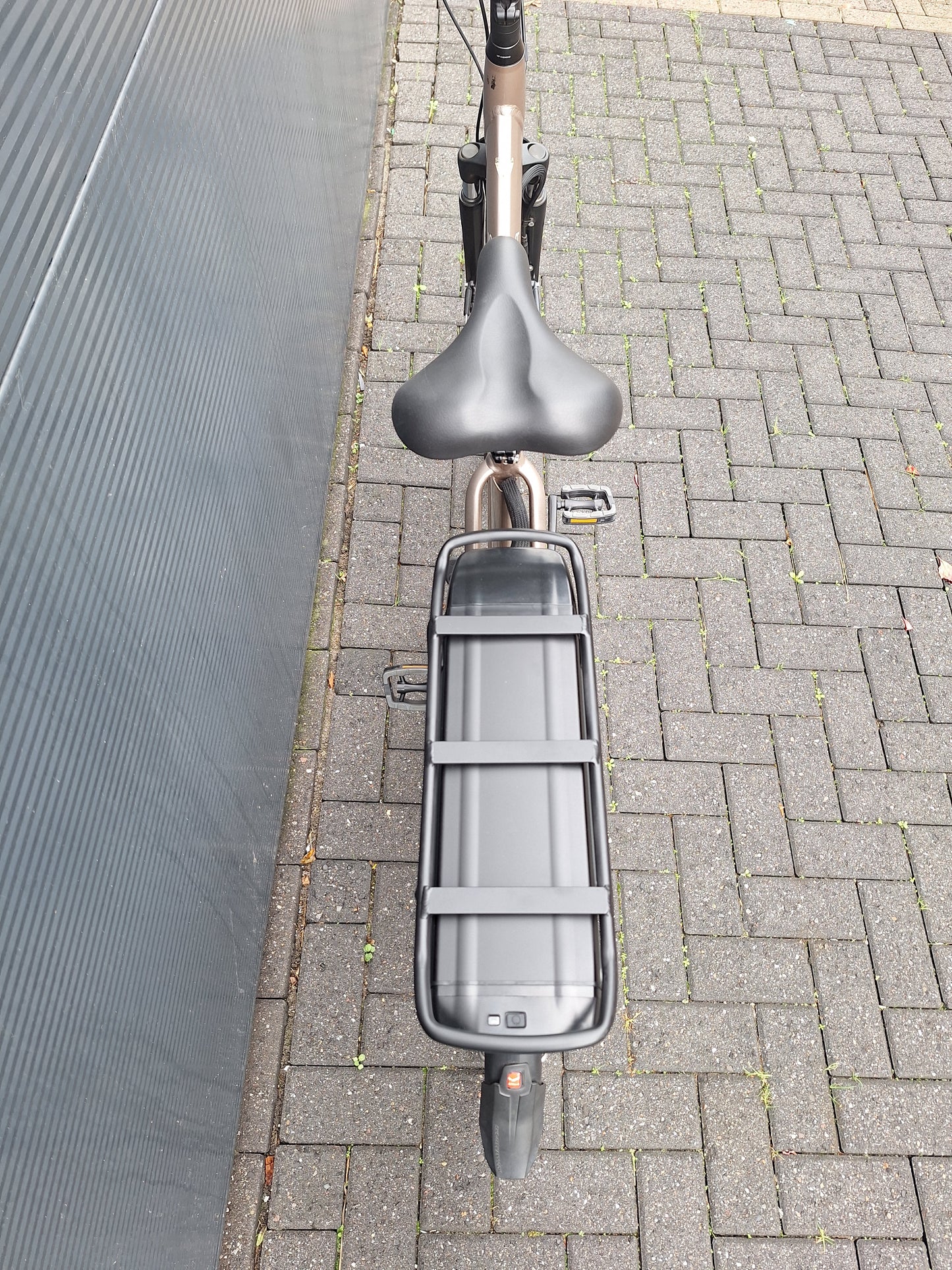 Stella Livorno Gold FDST