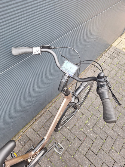 Stella Livorno Gold FDST