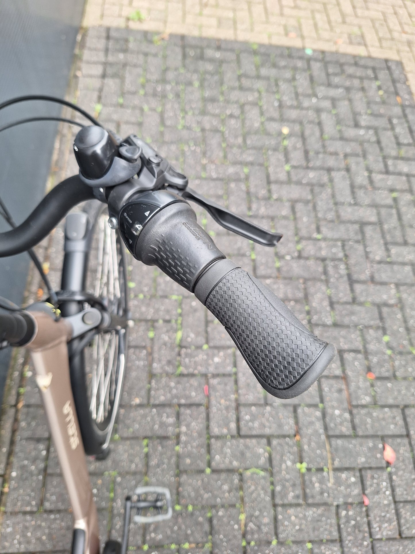 Stella Livorno Gold FDST