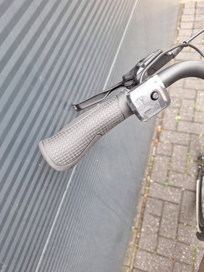 Stella Livorno Gold FDST