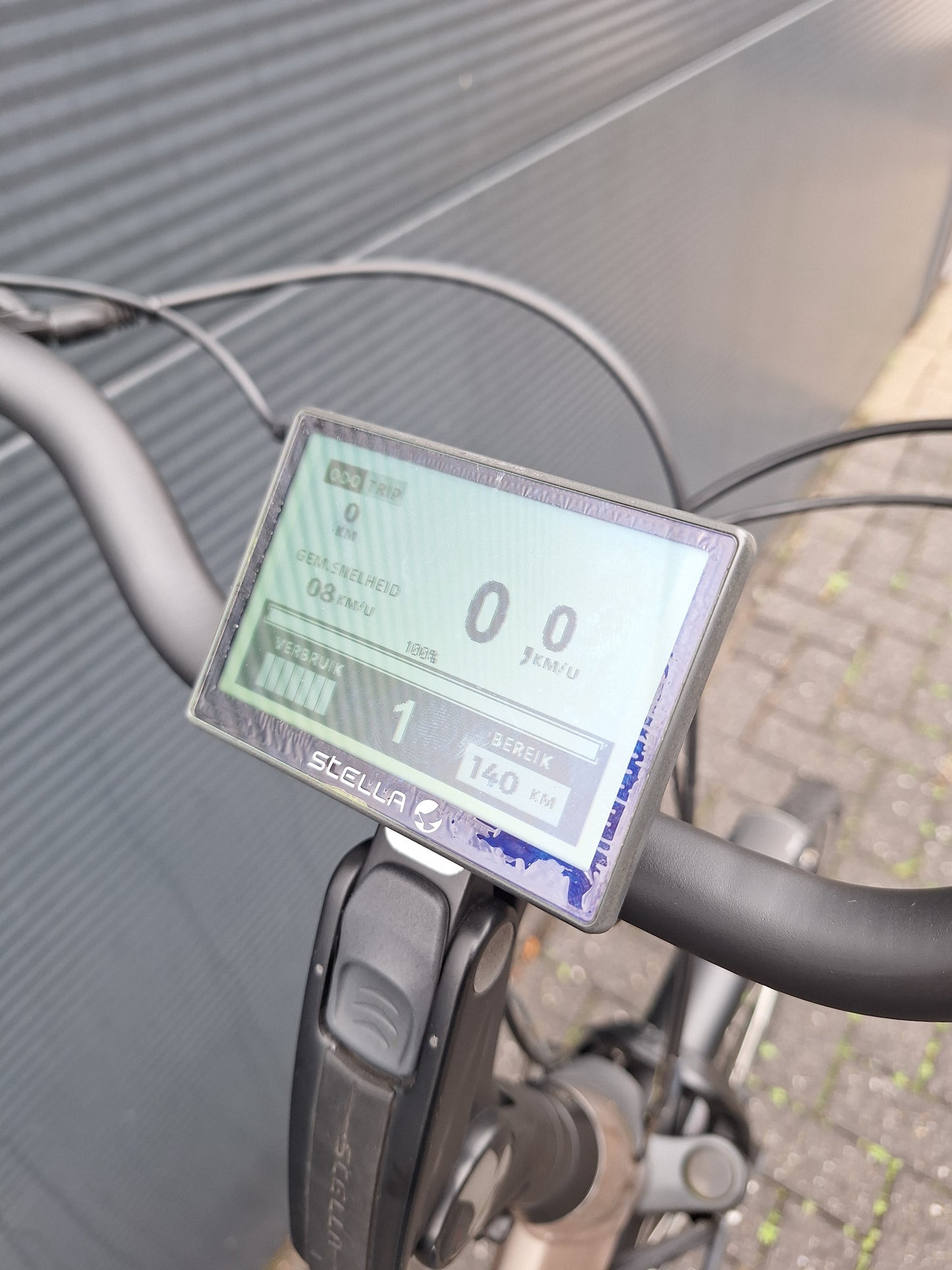 Stella Livorno Gold FDST