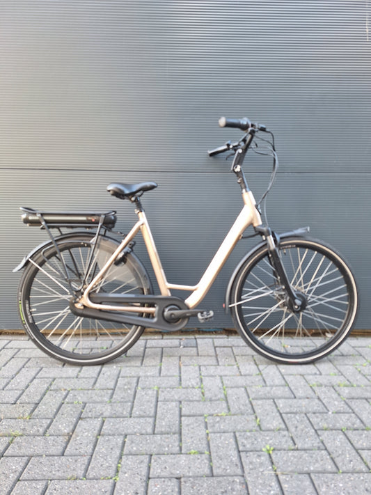 Stella Livorno Gold FDST (57)