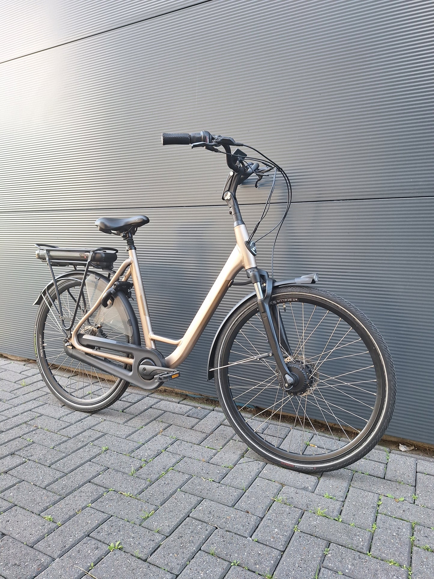 Stella Livorno Gold FDST (57)