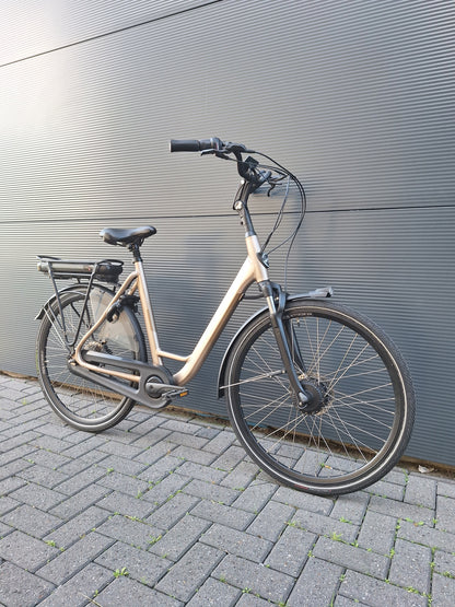 Stella Livorno Gold FDST (57)