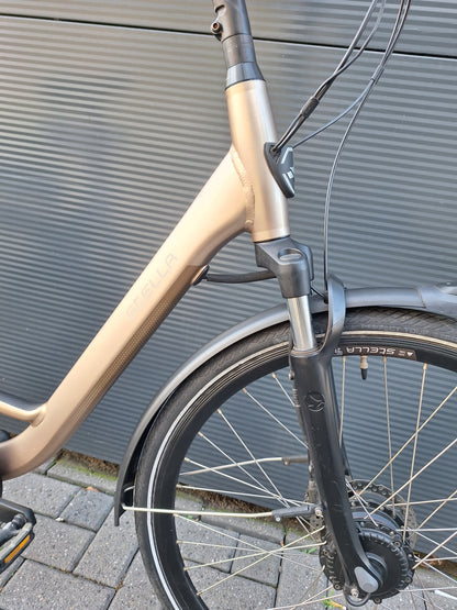 Stella Livorno Gold FDST (57)