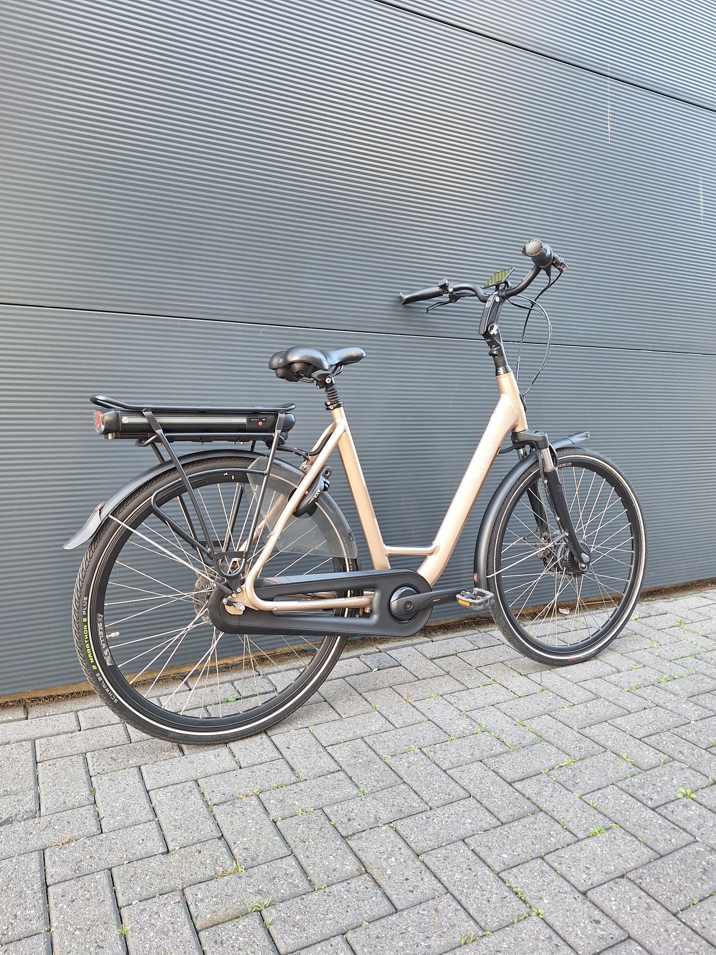 Stella Livorno Gold FDST (57)