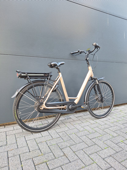 Stella Livorno Gold FDST (57)