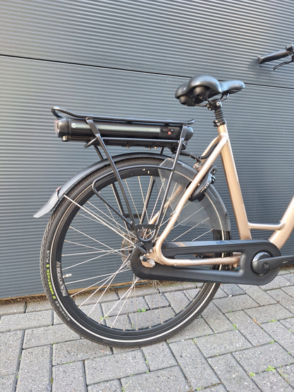 Stella Livorno Gold FDST (57)