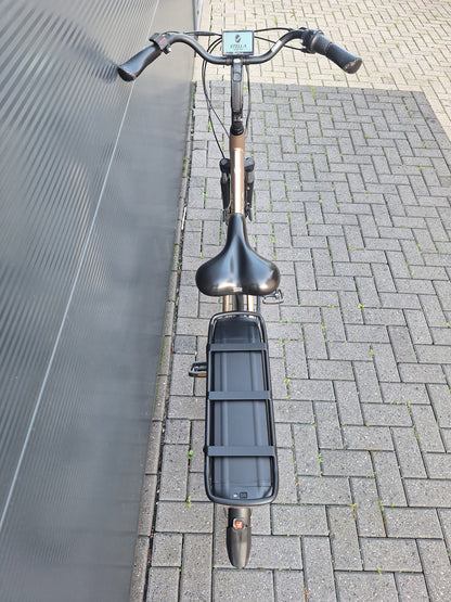 Stella Livorno Gold FDST (57)