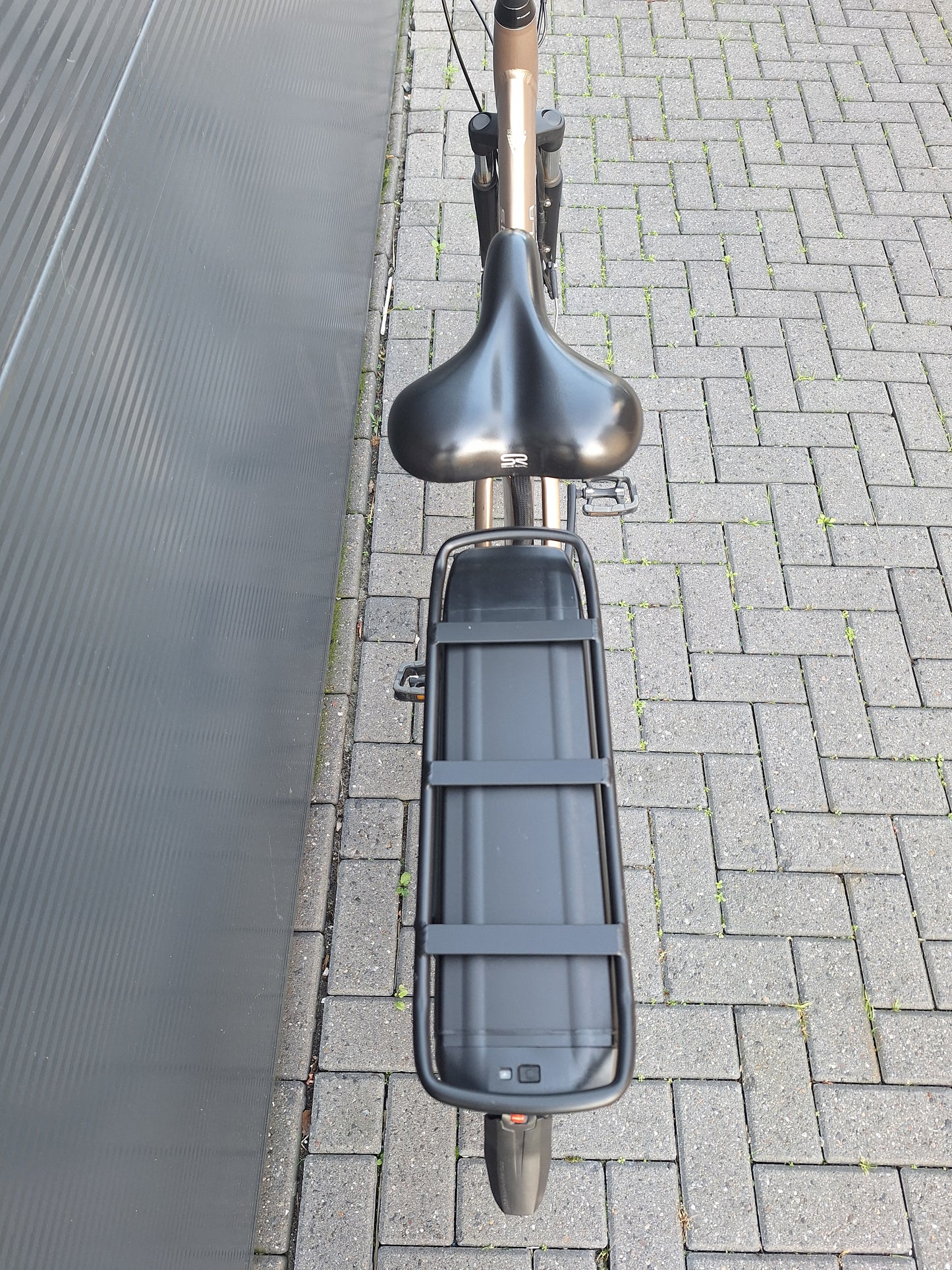 Stella Livorno Gold FDST (57)