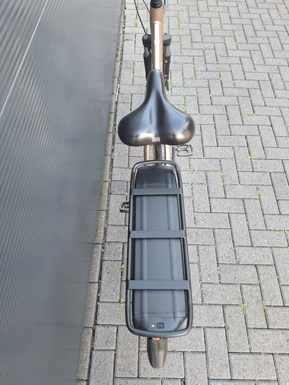 Stella Livorno Gold FDST (57)