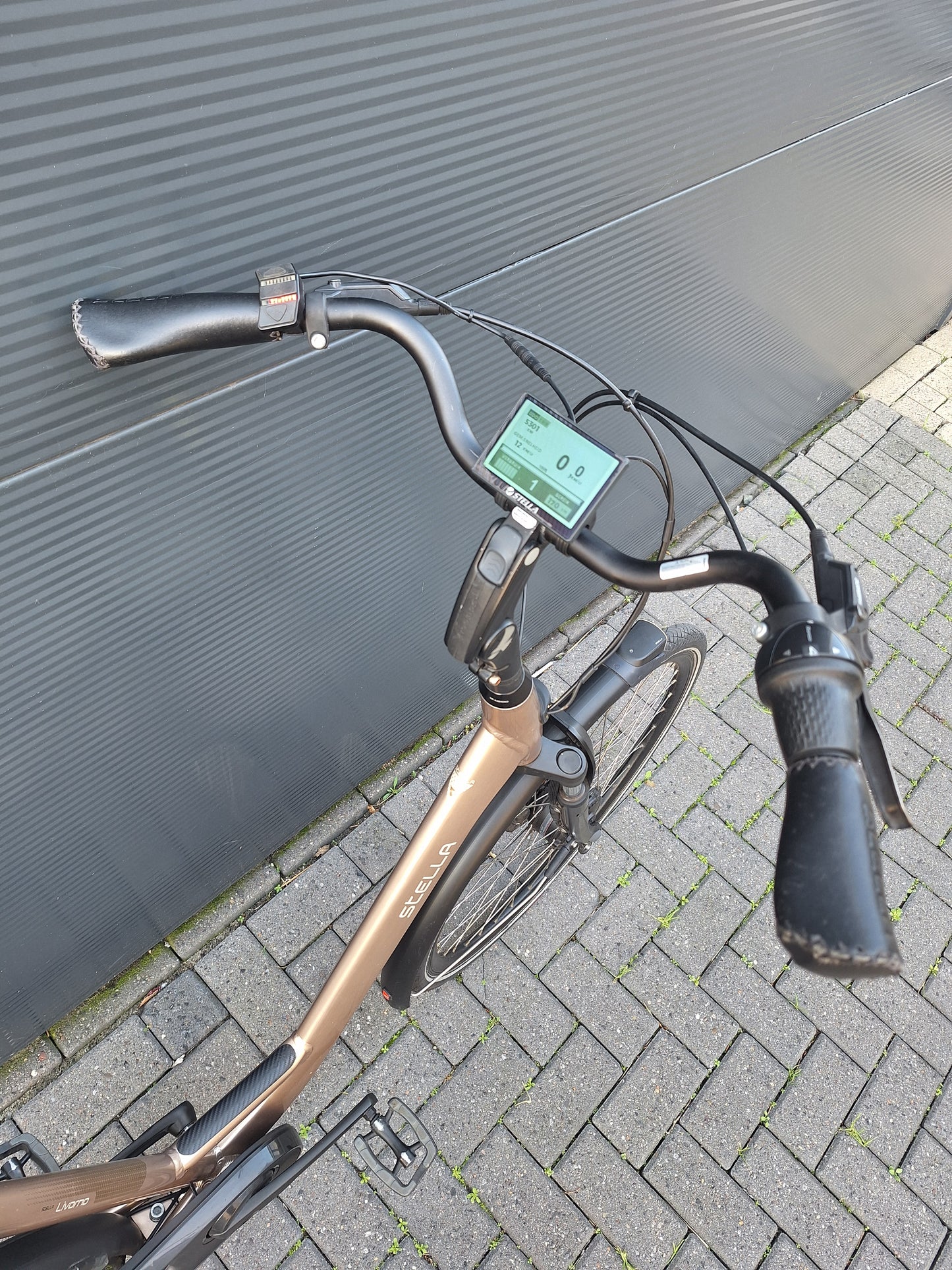 Stella Livorno Gold FDST (57)