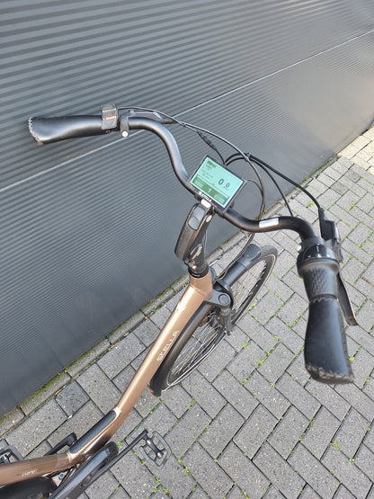 Stella Livorno Gold FDST (57)