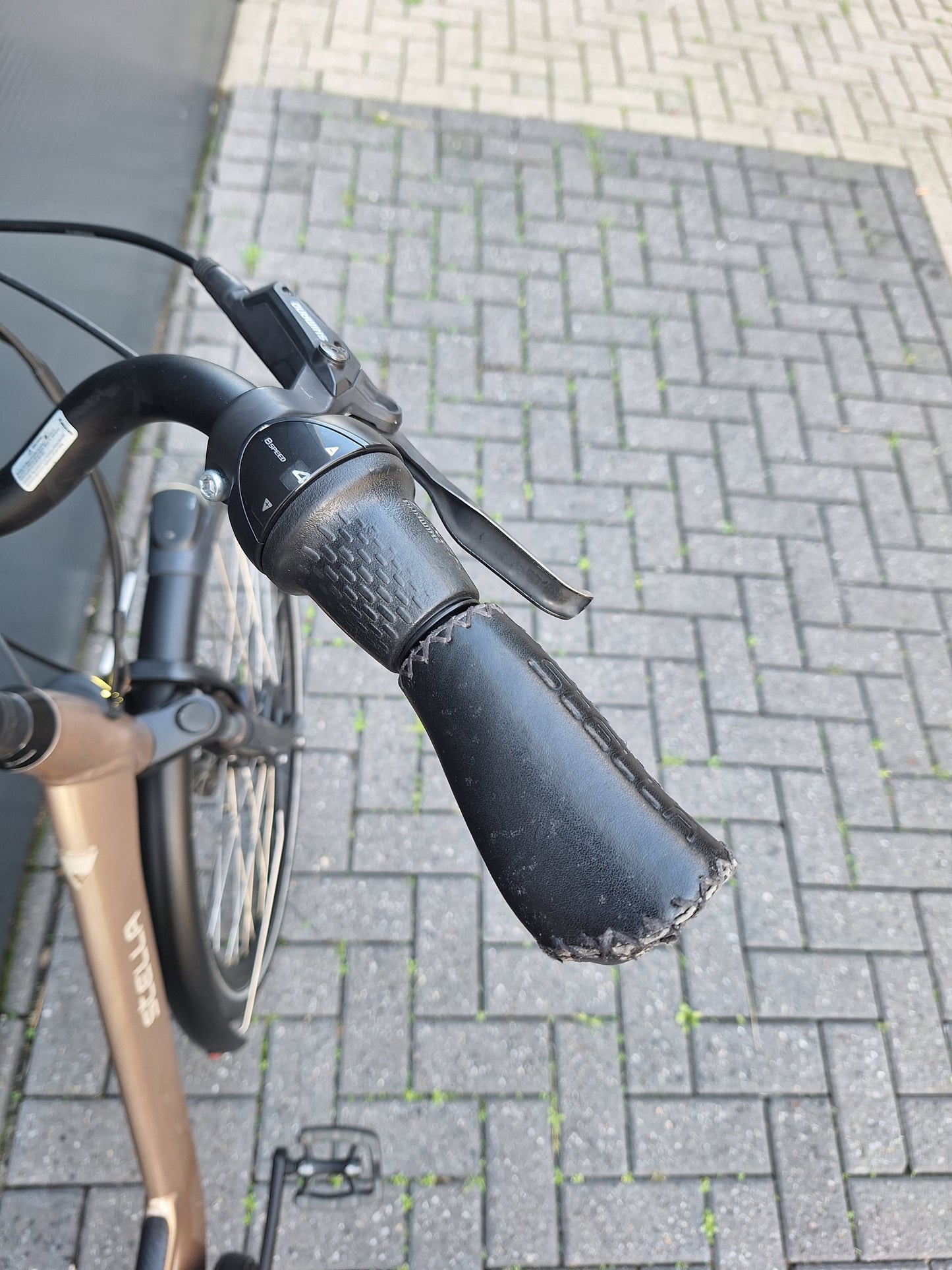 Stella Livorno Gold FDST (57)