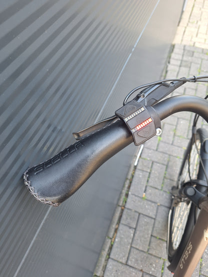 Stella Livorno Gold FDST (57)