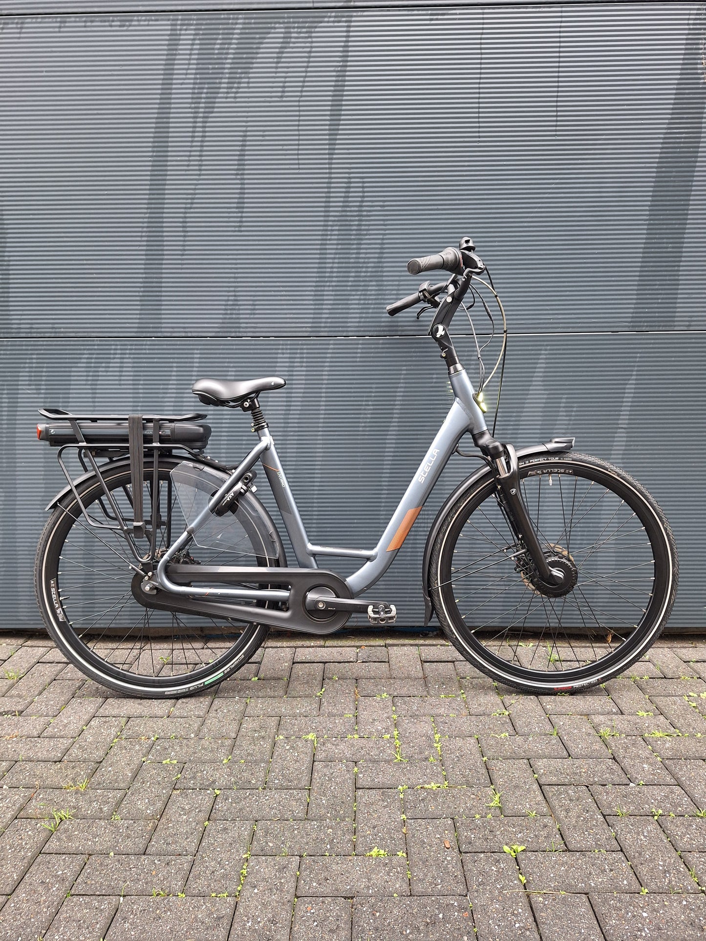 Stella Livorno Frost Blue FDST (53)