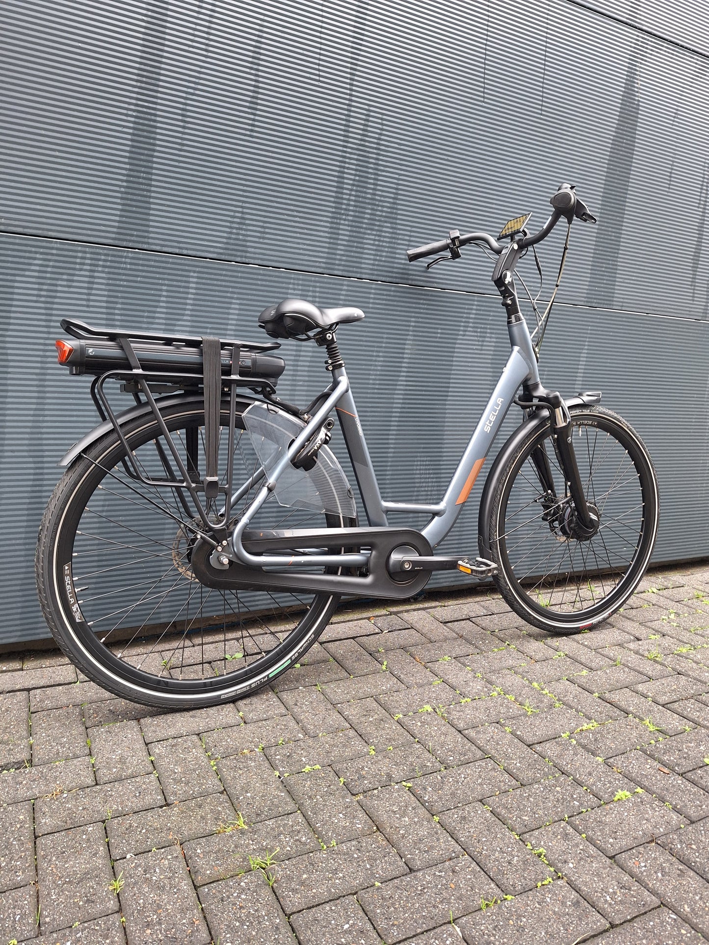 Stella Livorno Frost Blue FDST (53)