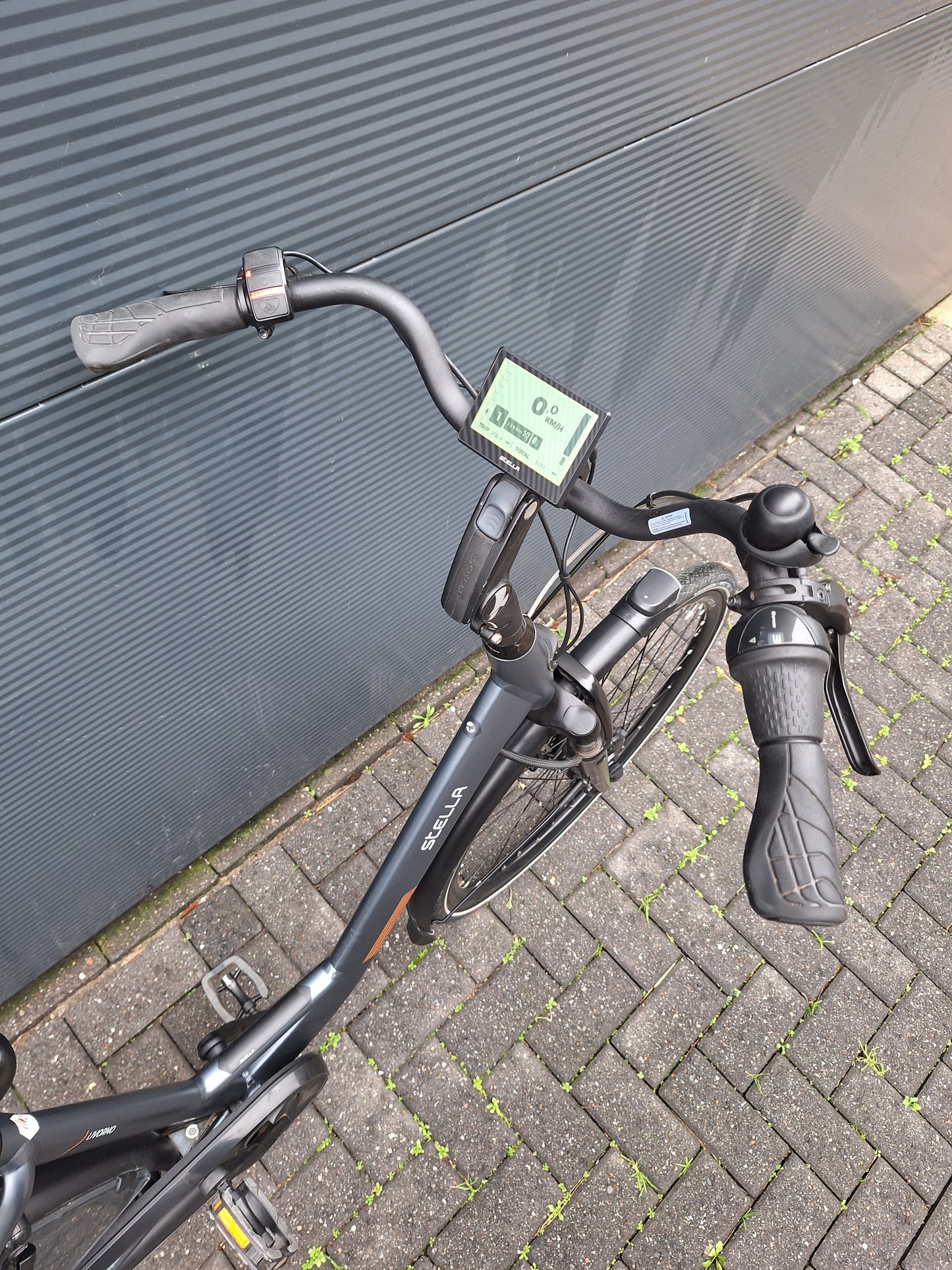 Stella Livorno Frost Blue FDST (53)