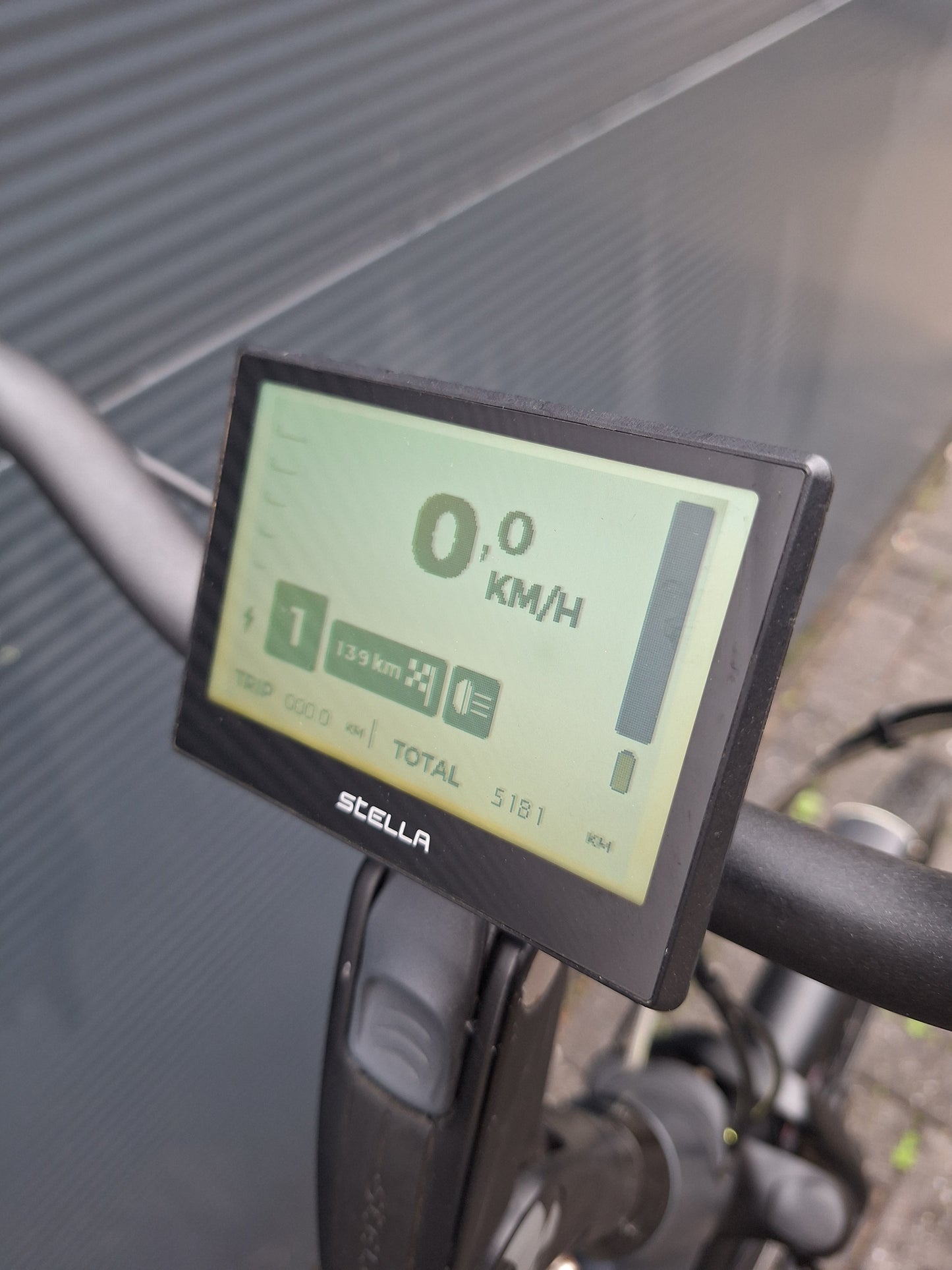 Stella Livorno Frost Blue FDST (53)