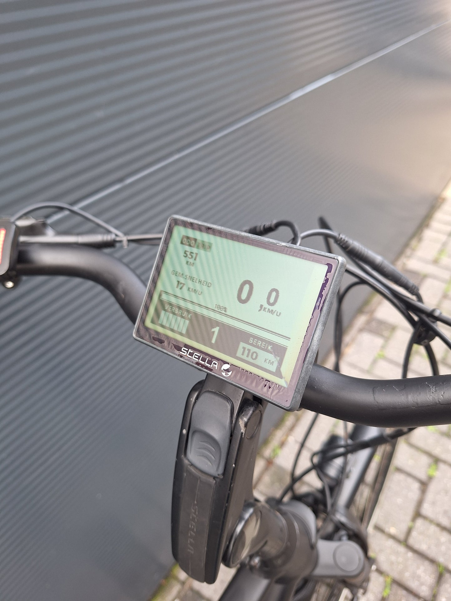 Stella Vicenza Superior FDST (53)