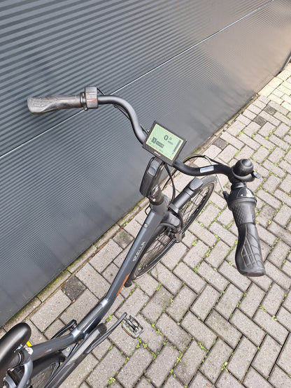 Stella Livorno Frost Blue FDST (53)