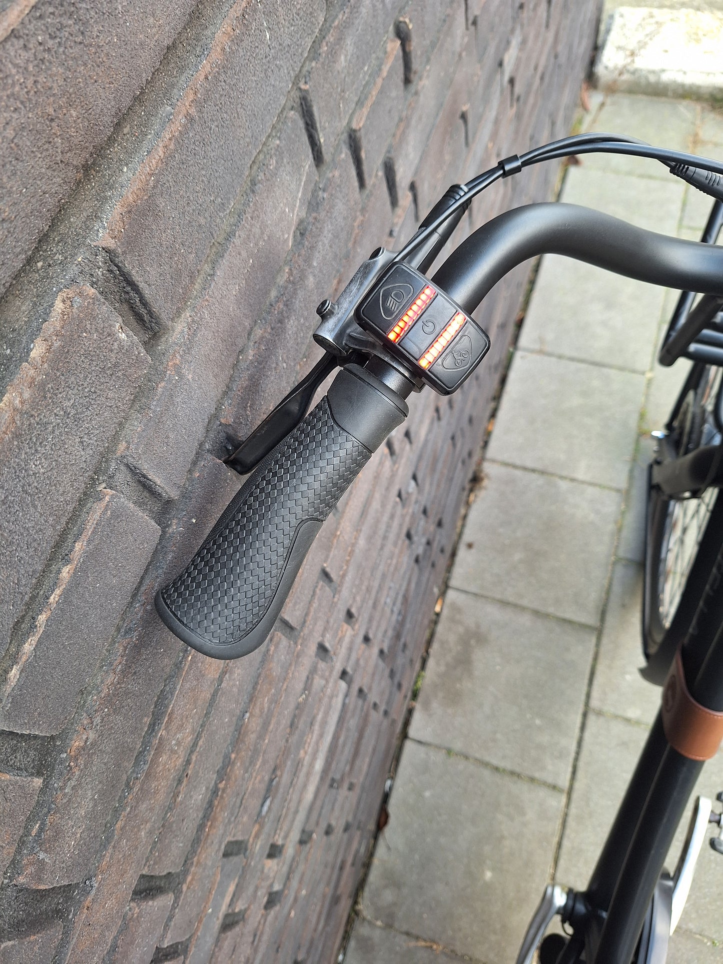 Stella Dolce Superior FDST (48)