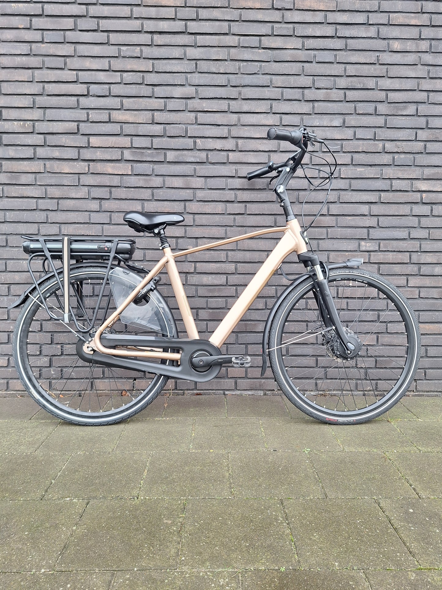 Stella Livorno Gold FDST (53)