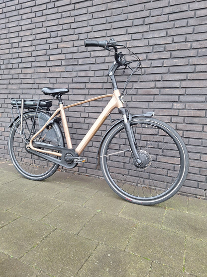 Stella Livorno Gold FDST (53)