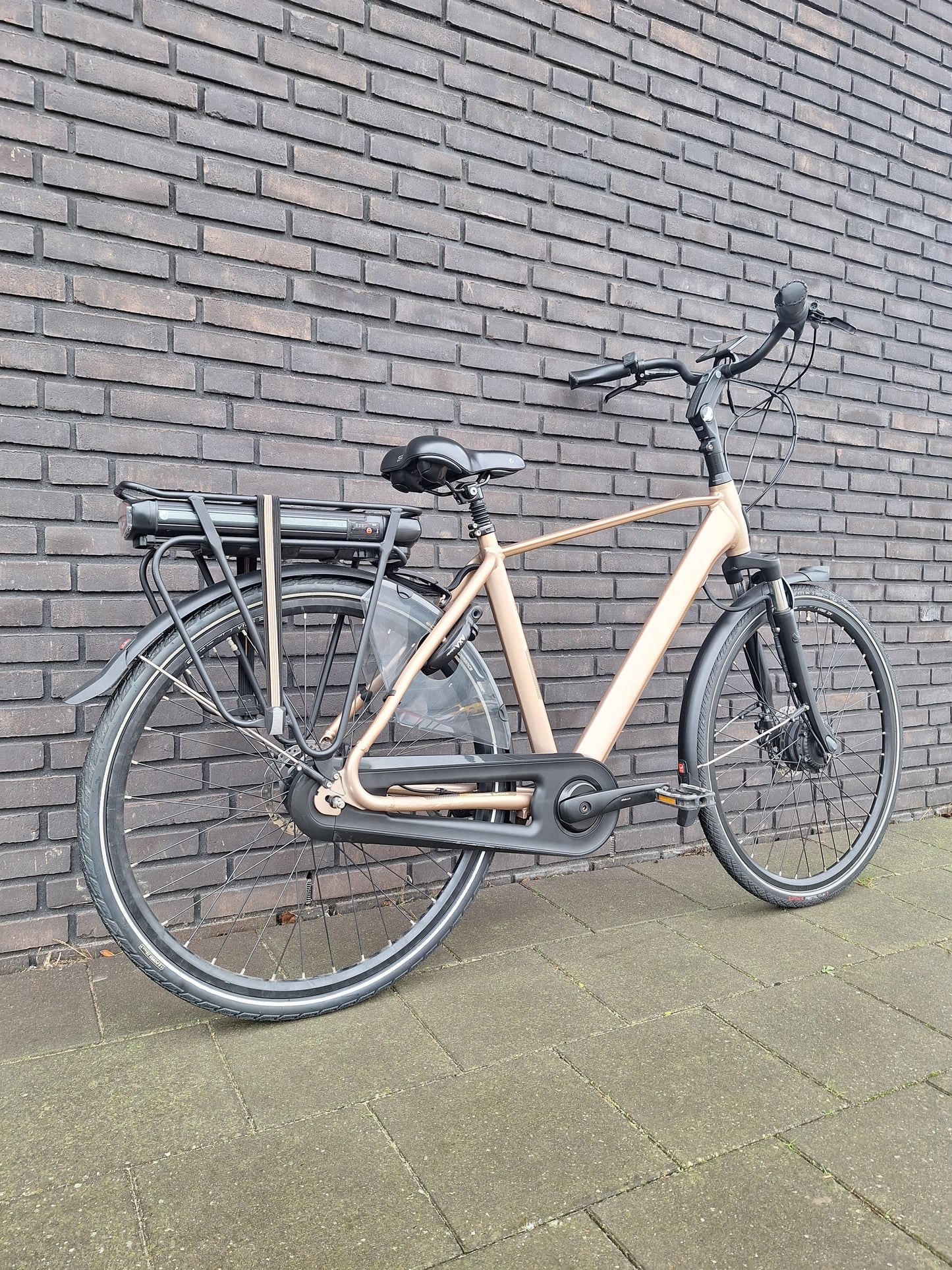 Stella Livorno Gold FDST (53)