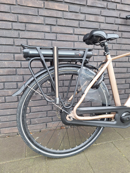 Stella Livorno Gold FDST (53)