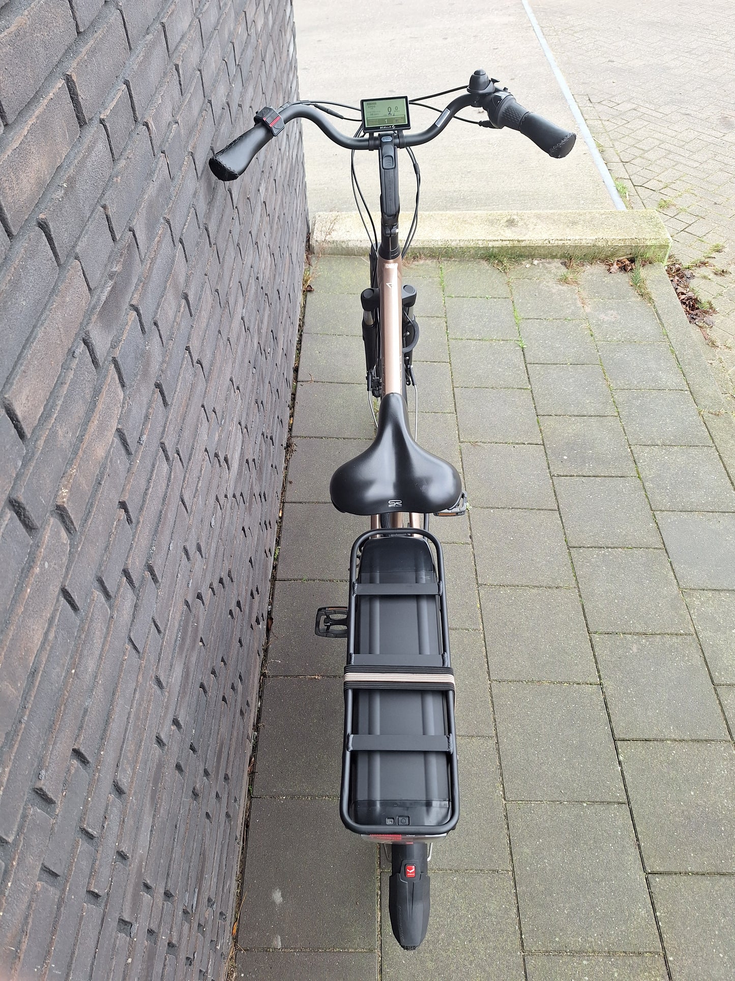 Stella Livorno Gold FDST (53)