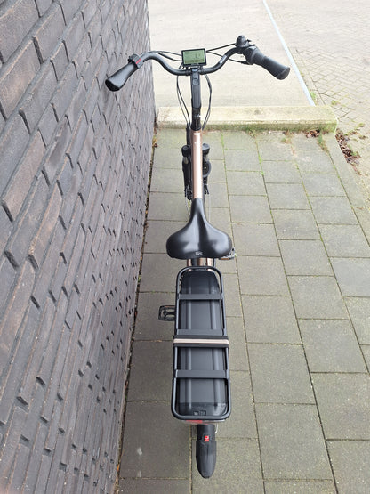 Stella Livorno Gold FDST (53)