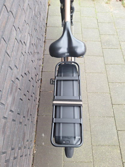 Stella Livorno Gold FDST (53)