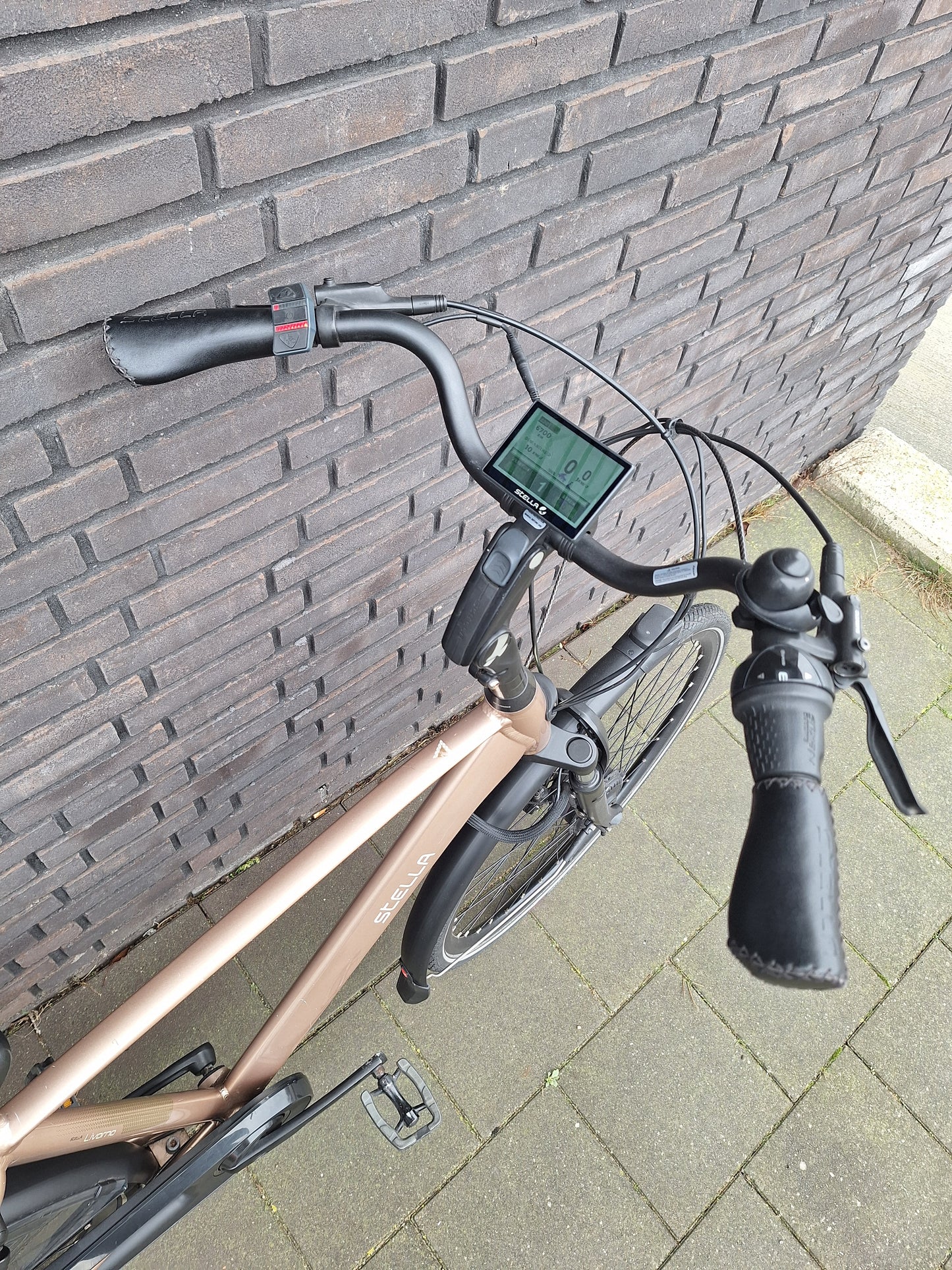 Stella Livorno Gold FDST (53)