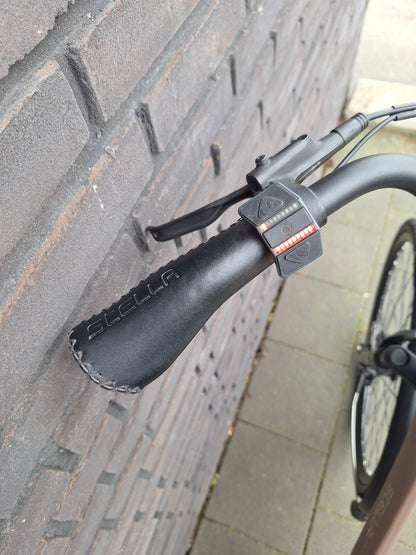 Stella Livorno Gold FDST (53)