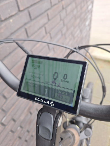 Stella Livorno Gold FDST (53)