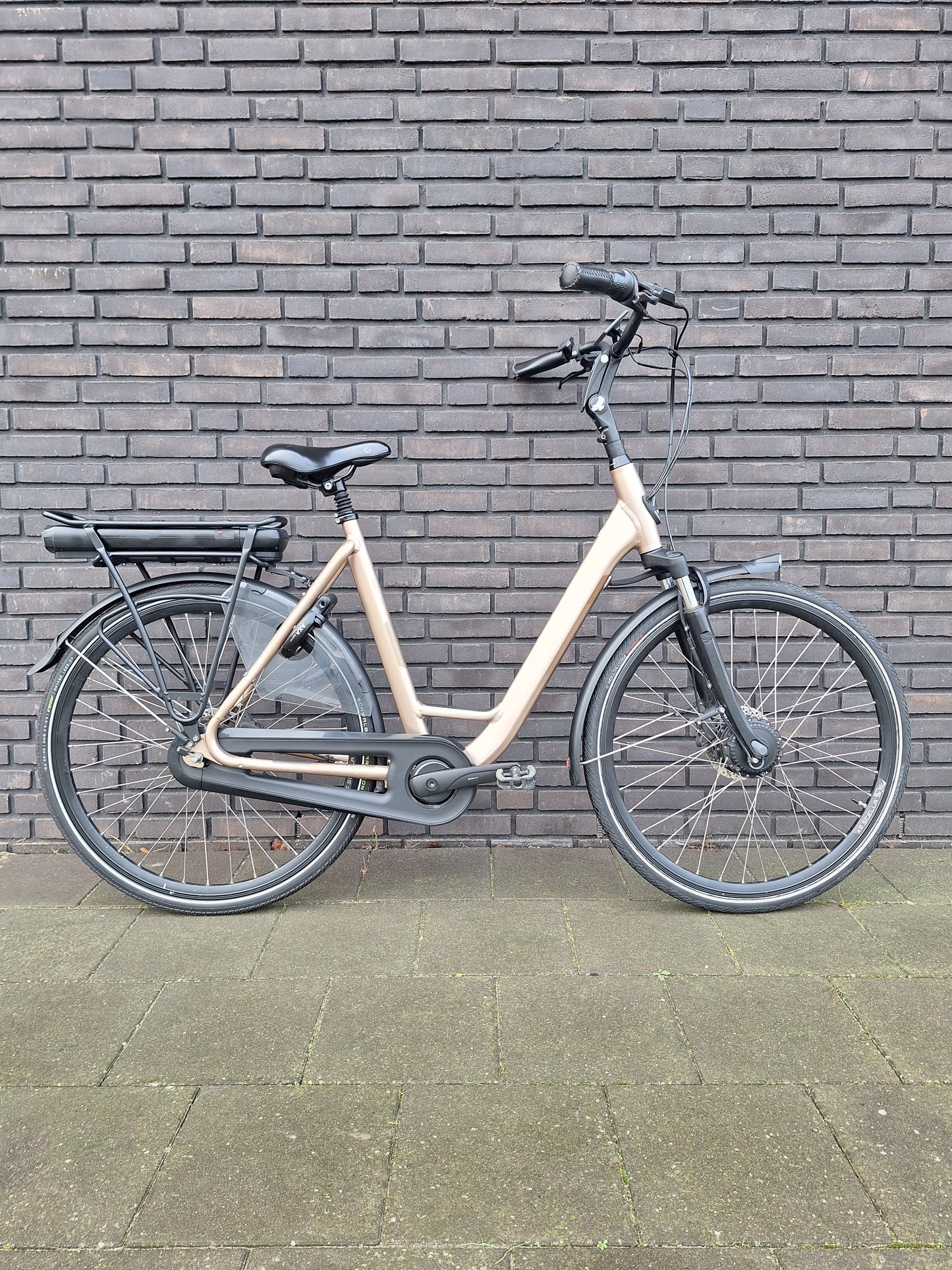 Stella Livorno Gold FDST (57)